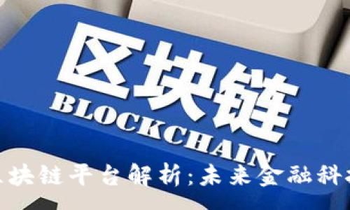 :
金融公司区块链平台解析：未来金融科技的引领者