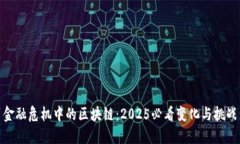 金融危机中的区块链：2025必看变化与挑战