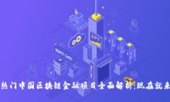 2023热门中国区块链金融项目全面解析：现在就来