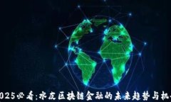 2025必看：水皮区块链金融的未来趋势与机会