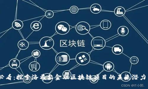 2025必看：探索洛希尔金融区块链项目的未来潜力与影响