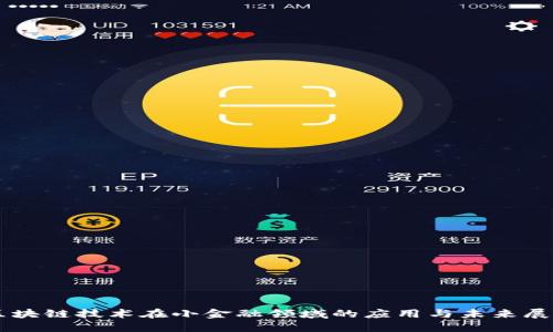区块链技术在小金融领域的应用与未来展望