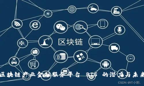 玉溪区块链产业金融服务平台 BIS 的潜力与未来发展